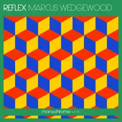 Reflex (Trow Remix) Song Lyrics