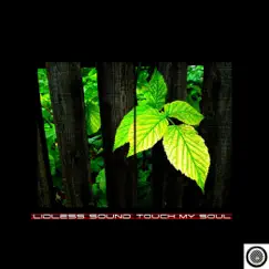 Touch My Soul - Single by Lidless Sound album reviews, ratings, credits