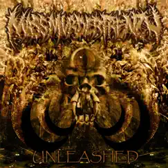 Unleashed by Mass Murder Frenzy album reviews, ratings, credits