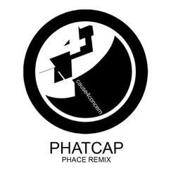 Phatcap (Phace Remix) / Synergy (Black Sun Empire Remix) - Single by Cause4Concern album reviews, ratings, credits