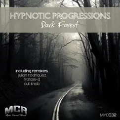 Dark Forest (Franzis-D Remix) Song Lyrics