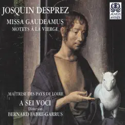 Missa Gaudeamus: IV. Sanctus: No. 1, Sanctus Dominus Song Lyrics