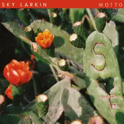 Motto (Bonus Track Version) by Sky Larkin album reviews, ratings, credits