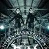 Whiplash (Invaderous Remix) - Single album lyrics, reviews, download