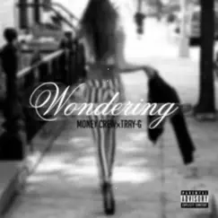 Wondering (feat. Tre G) Song Lyrics