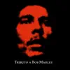 Nice Time (Bob Marley) - Single album lyrics, reviews, download