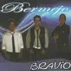 Bravío album lyrics, reviews, download
