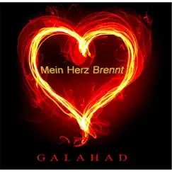 Mein Herz brennt (English Version) Song Lyrics