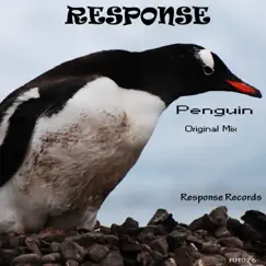 Penguin Song Lyrics