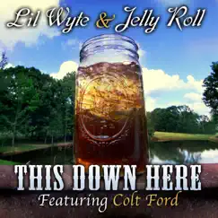 This Down Here (feat. Colt Ford) - Single by Lil Wyte & Jelly Roll album reviews, ratings, credits