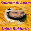 Sourate Al Anam (Quran - Coran - Islam) album lyrics, reviews, download