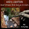 Small Stream, Bird Song and Crickets (90 Minutes) album lyrics, reviews, download