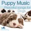 Puppy Music - Peaceful Songs for Dogs album lyrics, reviews, download