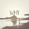 Why (feat. Carmella) - Single album lyrics, reviews, download