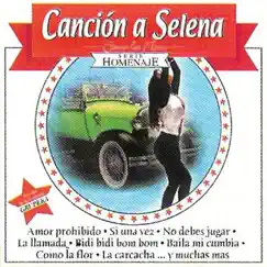 Canción A Selena - Como La Flor - Serie Homenaje by Araceli Y La Furia Grupera album reviews, ratings, credits