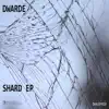 Shard - Single album lyrics, reviews, download