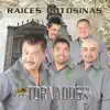 Raices Potosinas album lyrics, reviews, download