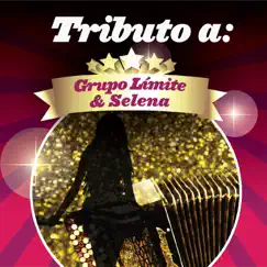 Tributo a Grupo Límite & Selena by Hernán Carchak Band album reviews, ratings, credits