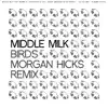 Birds (Morgan Hicks Remix) song lyrics