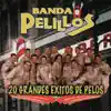20 Grandes Éxitos de Pelos album lyrics, reviews, download