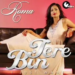 Tere Bin (I Just Want) [feat. Rishi Rich] - Single by Roma album reviews, ratings, credits