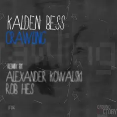 Crawling (Alexander Kowalski Remix) Song Lyrics