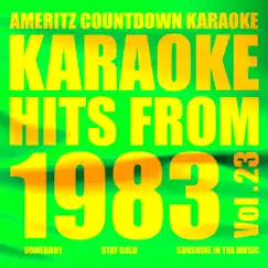 Somebody (In the Style of Bryan Adams) [Karaoke Version] Song Lyrics