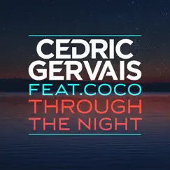 Through the Night (Radio Edit) [feat. Coco] Song Lyrics
