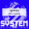 Who Knows - Single album lyrics, reviews, download