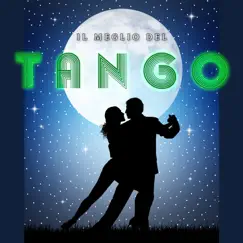 Il meglio del tango by Aldo Maietti e la sua orchestra album reviews, ratings, credits