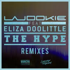 The Hype (feat. Eliza Doolittle) [Wookie Dub] Song Lyrics