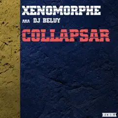 Collapsar - Single by Xenomorphe aka DJ BELUY album reviews, ratings, credits