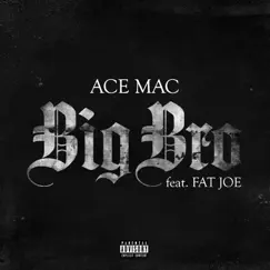 Big Bro (feat. Fat Joe) - Single by Ace Mac album reviews, ratings, credits