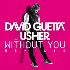 Without You (Nicky Romero Remix) [feat. Usher] Song Lyrics