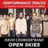 Open Skies (Performance Tracks) - EP album lyrics, reviews, download