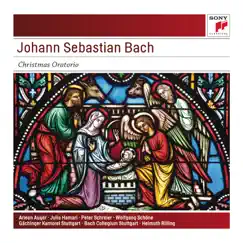 Christmas Oratorio, BWV 248: 39. Aria. Flösst, mein Heiland, flösst dein Namen Song Lyrics