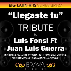 Llegaste Tú - Tribute to Luis Fonsi Ft Juan Luis Guerra - EP by Brava HitMakers album reviews, ratings, credits