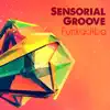 Sensorial Groove album lyrics, reviews, download