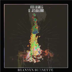 1000 Degrees of Separation - Single by Brandyn Burnette album reviews, ratings, credits