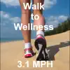 Walk to Wellness album lyrics, reviews, download