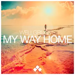 My Way Home - Single by WellGroove album reviews, ratings, credits
