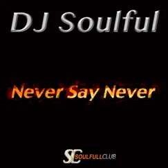 Never Say Never - Single by DJ Soulful album reviews, ratings, credits