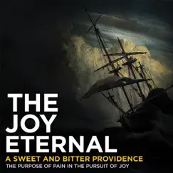 A Sweet and Bitter Providence - EP by The Joy Eternal album reviews, ratings, credits