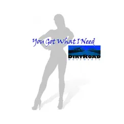 You Got What I Need - Single by Dirt Road Movements album reviews, ratings, credits