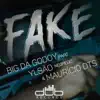 Fake (feat. Ylsão Negredo & Mauricio DTS) - Single album lyrics, reviews, download