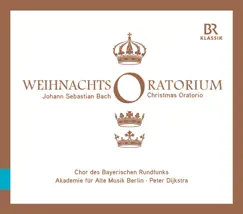 Weihnachts-Oratorium, BWV 248, Pt. 3: Herrscher des Himmels, erhöre das Lallen (Da capo) [Live] Song Lyrics
