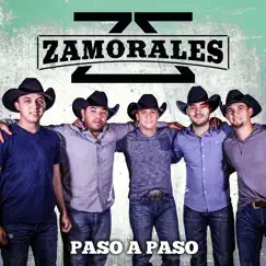 Paso A Paso - Single by Zamorales album reviews, ratings, credits