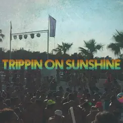 Trippin' On Sunshine (TIGERBLOOD Remix) Song Lyrics