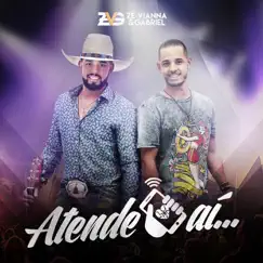 Atende Aí - Single by Zé Vianna e Gabriel album reviews, ratings, credits