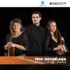 Trio Hochelaga : Beach, Catoire, Brahms album lyrics, reviews, download